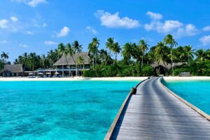 Trip of a lifetime in the...