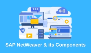 SAP NetWeaver the Essential Guide to...