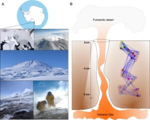 New paper out from studies of...
