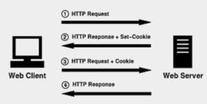 What is a Cookie – Its...