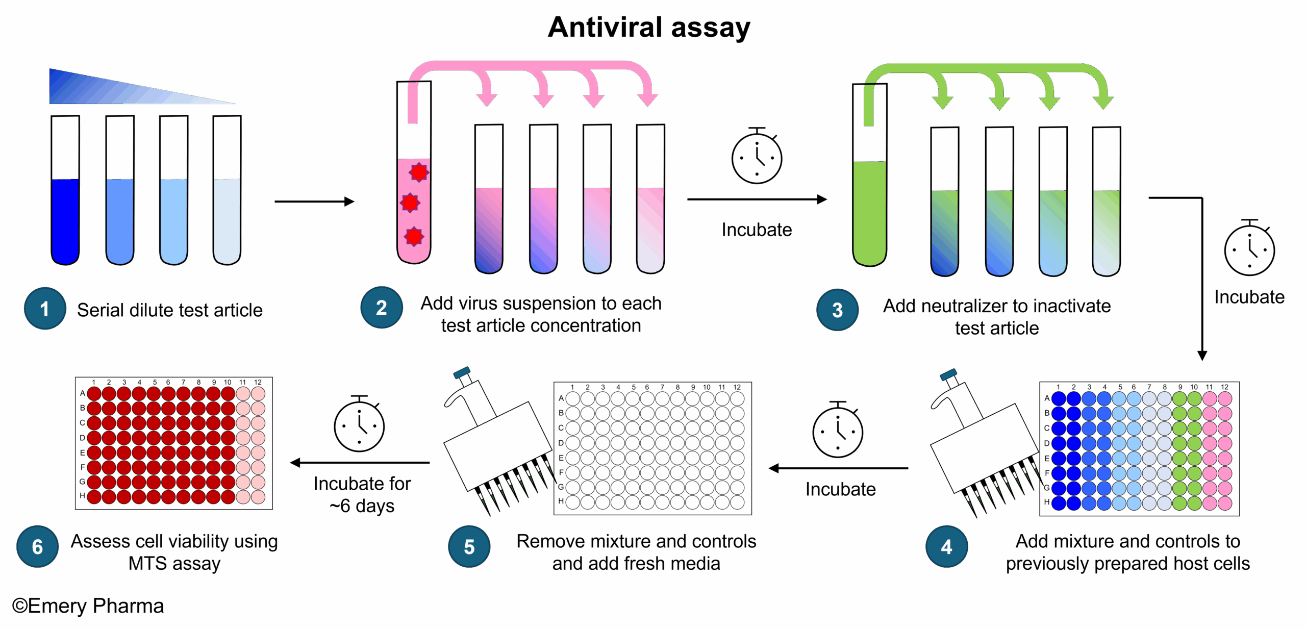 Important Considerations in Antiviral Testing