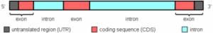 Functions and Types • Microbe Online