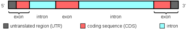 Functions and Types • Microbe Online