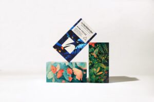 B&B studio continues its partnership with...