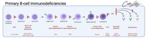 Serum Protein Electrophoresis and Immunofixation Electrophoresis...