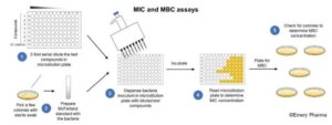 Understanding Antimicrobial Testing: A Guide to...