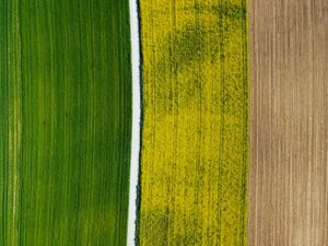 A Microbial Solution for Farmland Nitrogen...