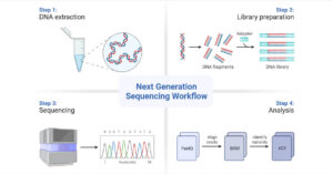 Next-Generation Sequencing (NGS): Definition, Types