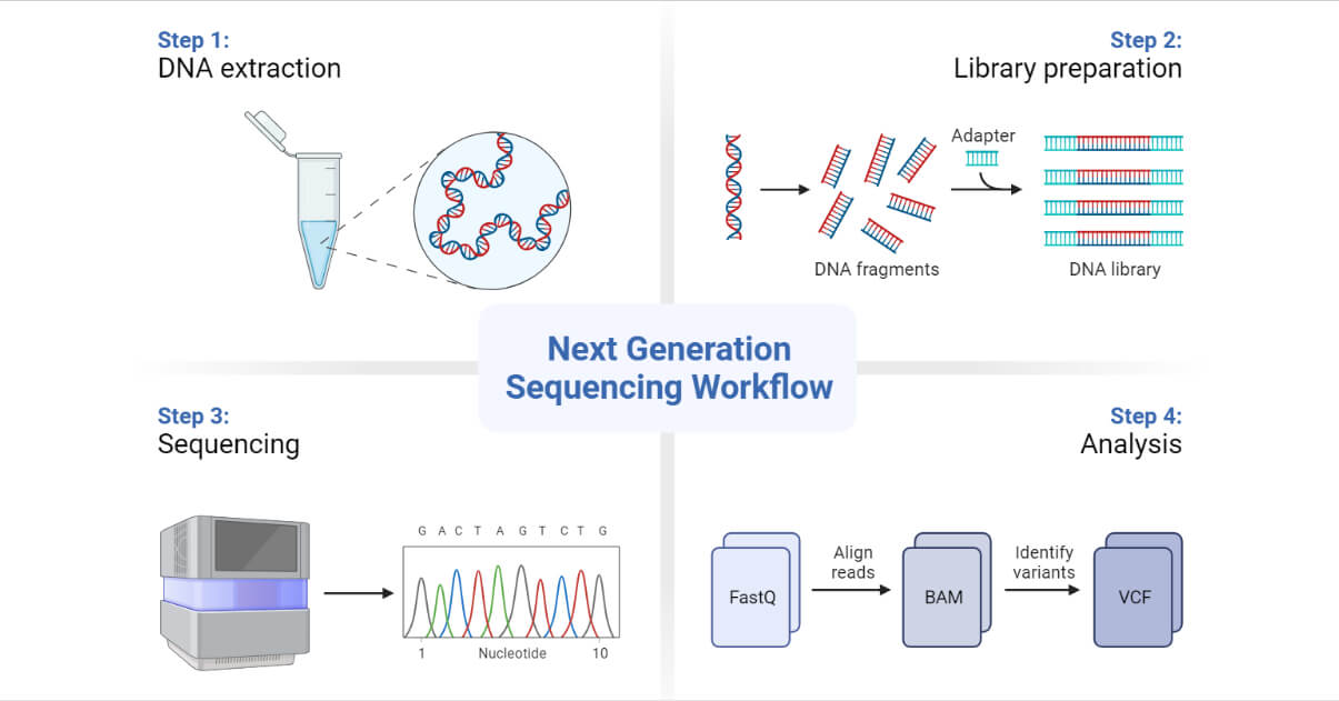 Next-Generation Sequencing (NGS): Definition, Types