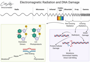 Electromagnetic Radiation and DNA Damage —...