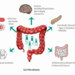 The Gut Microbiome Part 1 –...