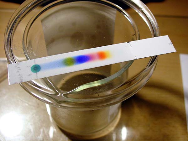 Gas Chromatography and Mass Spectrometry: A...