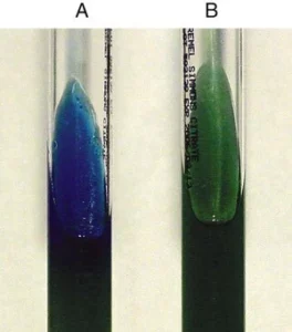 Acetamide Utilization Test – An overview