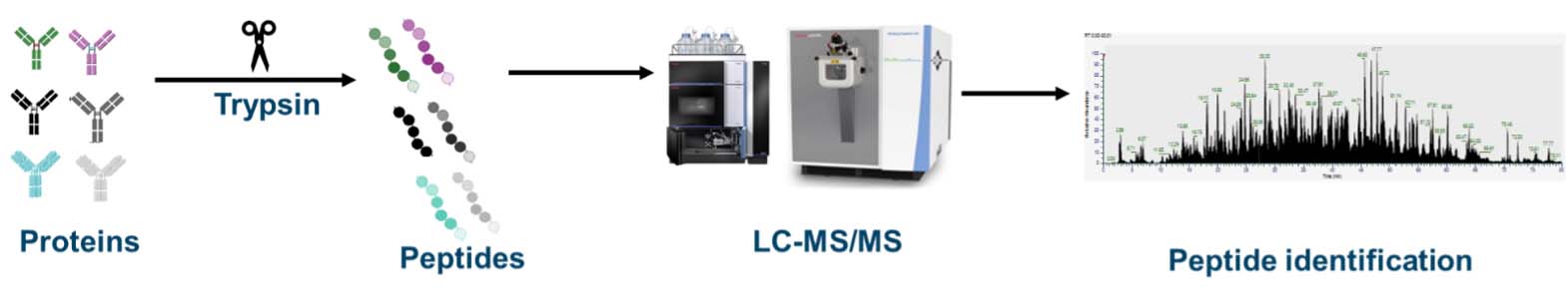 Exploring Covalently Bonded Protein-Small Molecule Complexes...