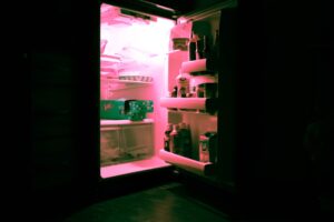 Choosing Between 2-8°C Refrigerators and Freezers:...