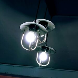 150W Tungsten Bulbs: Lab Applications and...
