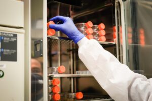 How Thermostatic Incubators Enhance Microbial Growth...