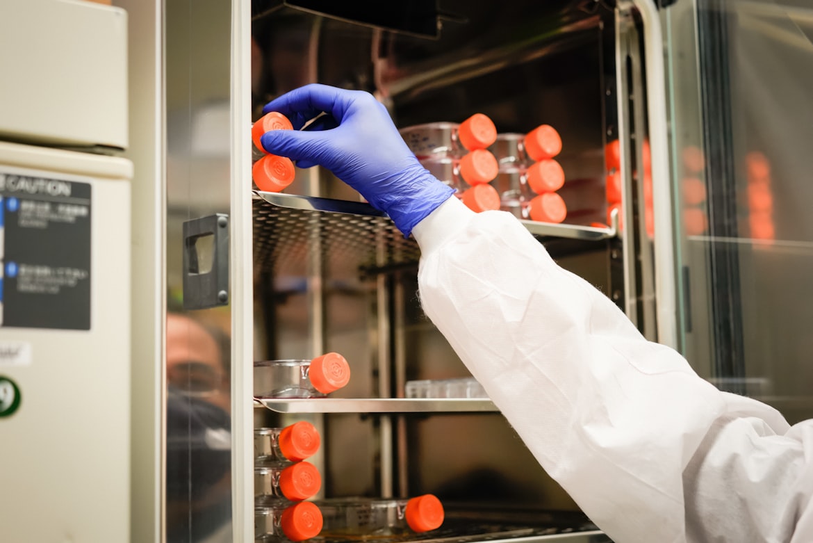 How Thermostatic Incubators Enhance Microbial Growth...