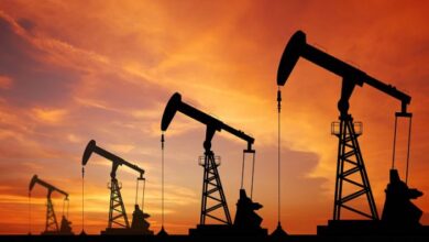 Officials say Pakistan has already consumed 80% of its discovered oil reserves