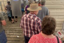 Livestock demos feature the latest in handling and management