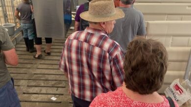 Livestock demos feature the latest in handling and management