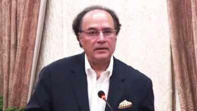 Govt committed to boost digital investment: FinMin Aurangzeb