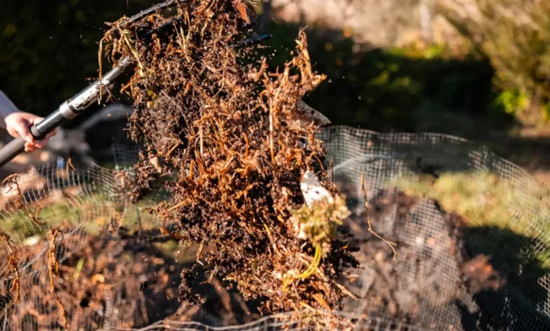 How to Speed Up Your Compost: 5 Recommendations