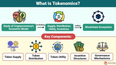 What is Tokenomics? A Beginner’s Guide to Crypto Economics