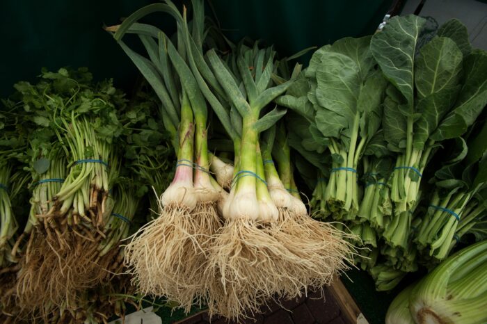 Cross Post: Impacts of Budget Reconciliation and Colorado Farms: Hurt for Farmers and Farm Communities, and the Need for a New Farm Bill